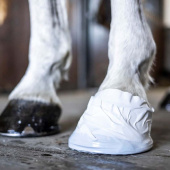 Taśma weterynaryjna do kopyt Biała Taśma weterynaryjna do kopyt Biała