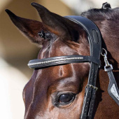 Naczółek Clincher Czarny/Srebrny Naczółek Clincher Czarny/Srebrny