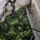 Wodze myśliwskie Skórzane/Gumowe 5/8 Wodze myśliwskie Skórzane/Gumowe 5/8