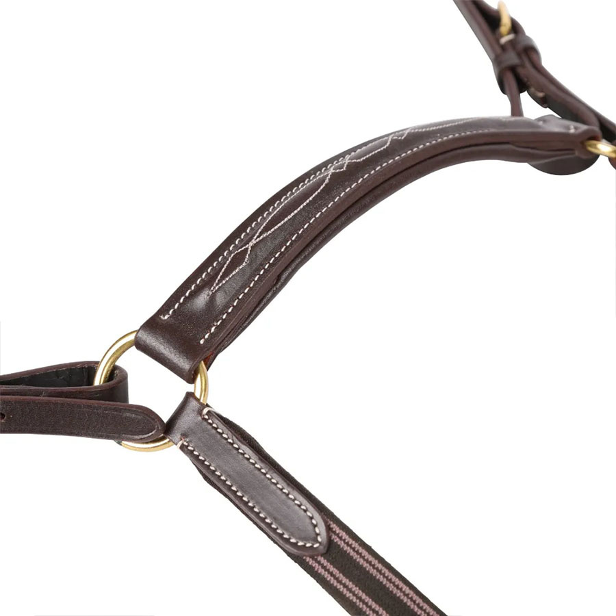 Napierśnik Salisbury Brązowy