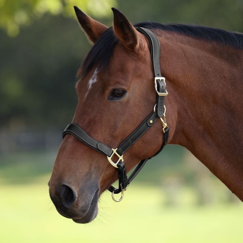 Skórzany kantar LUSSO Lorca Czarny