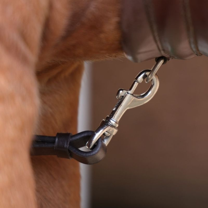 Napierśnik z wytokiem Rapida Brązowy