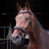 Ogłowie ujeżdżeniowe LUSSO Elite Czarne Ogłowie ujeżdżeniowe LUSSO Elite Czarne