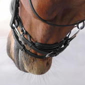 Ogłowie ujeżdżeniowe LUSSO Elite Czarne Ogłowie ujeżdżeniowe LUSSO Elite Czarne