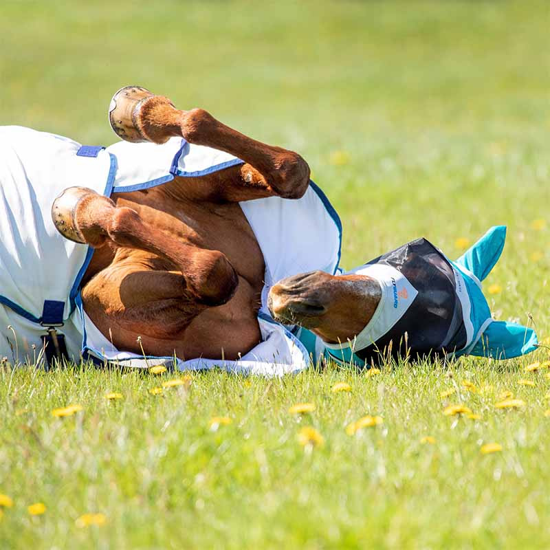 Maska przeciw owadom Fine Mesh z uszami Teal/Szara