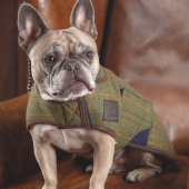 Derka dla psa Tweed Zielona Derka dla psa Tweed Zielona