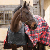 Ochraniacz na łopatki Satin Czarny Ochraniacz na łopatki Satin Czarny