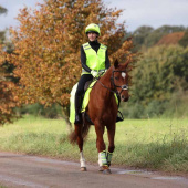 Derka lędźwiowa Mesh Reflex Żółta Derka lędźwiowa Mesh Reflex Żółta