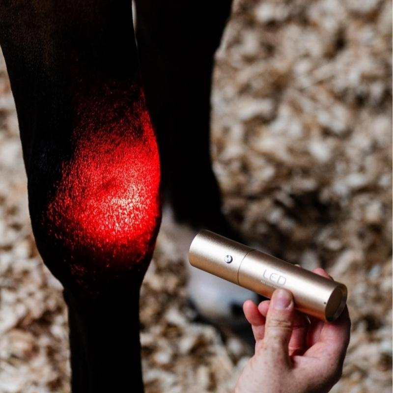 Lampa terapeutyczna LED Red Light Therapy Wand 