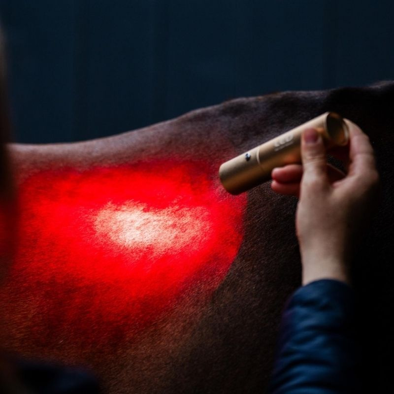Lampa terapeutyczna LED Red Light Therapy Wand 