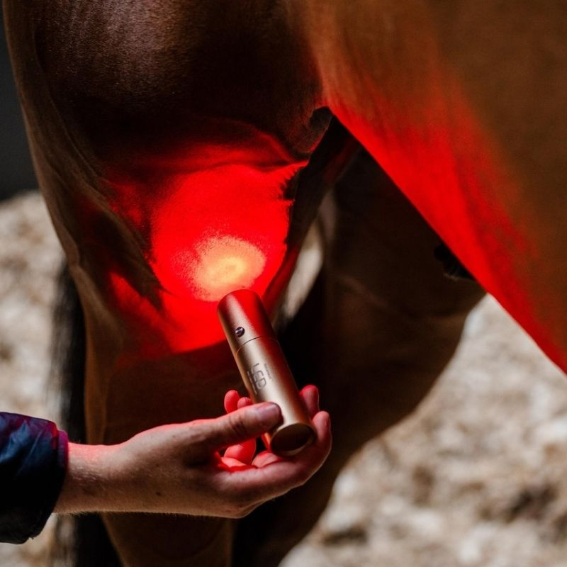 Lampa terapeutyczna LED Red Light Therapy Wand 