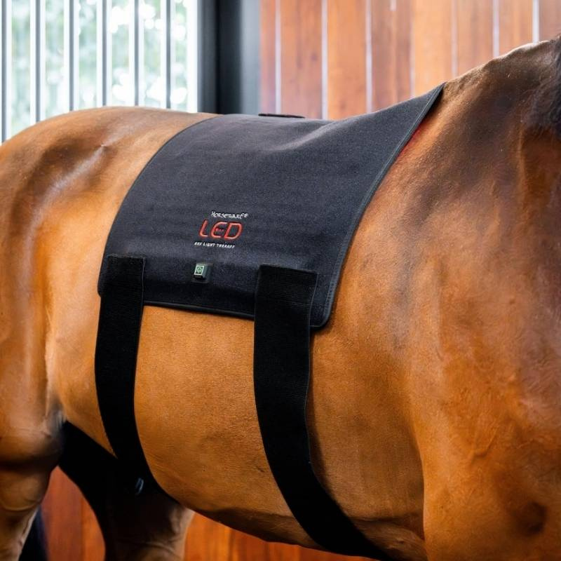 Pad terapeutyczny LED Red Light Therapy 