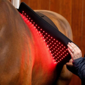 Pad terapeutyczny LED Red Light Therapy Pad terapeutyczny LED Red Light Therapy