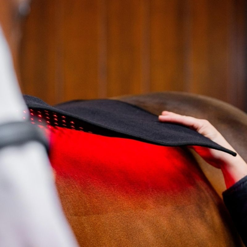 Pad terapeutyczny LED Red Light Therapy 