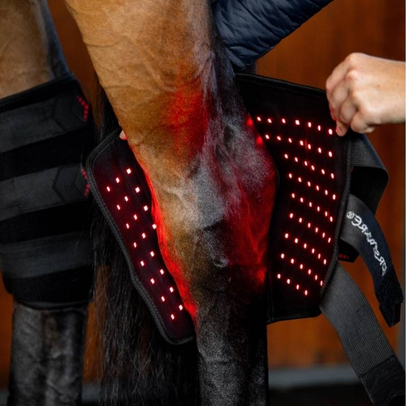 Ochraniacz terapeutyczny stawu skokowego LED Red Light Therapy