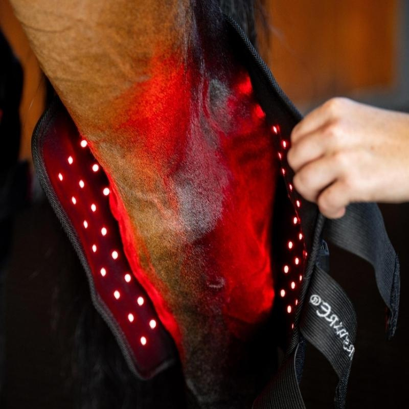 Ochraniacz terapeutyczny stawu skokowego LED Red Light Therapy