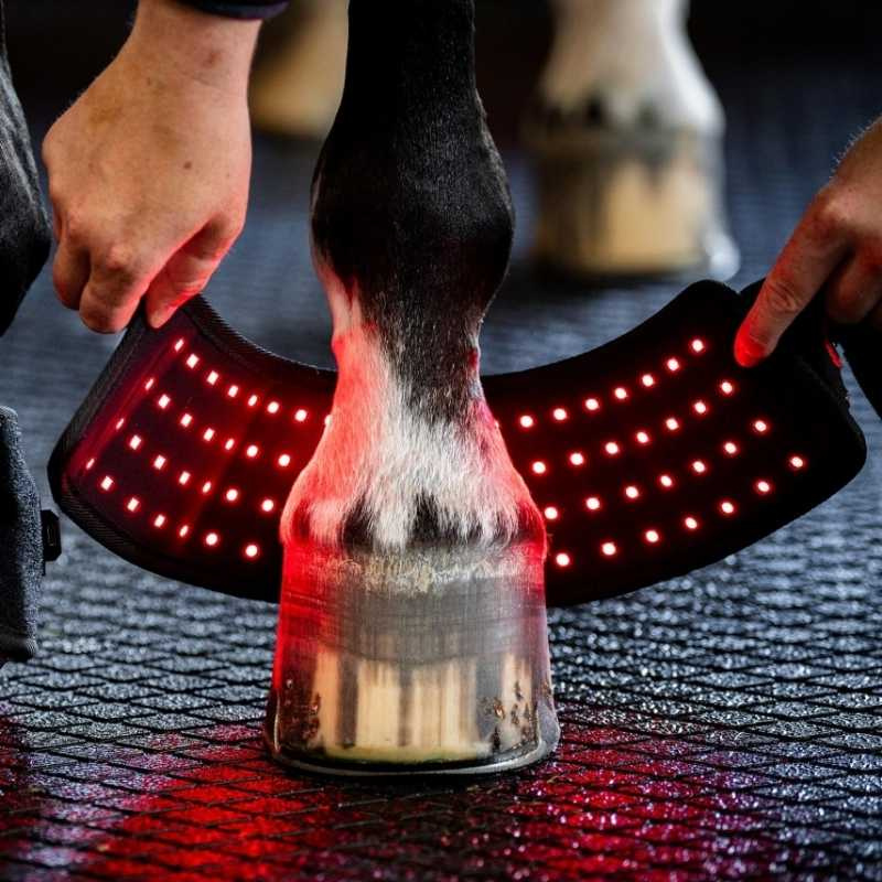Kaloszek LED Red Light Therapy Czarny