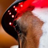 Kaptur terapeutyczny LED Red Light Therapy Kaptur terapeutyczny LED Red Light Therapy