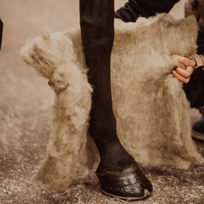 Podkłady wełniane Wool Care Nature