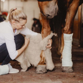 Podkłady wełniane Wool Care Nature Podkłady wełniane Wool Care Nature