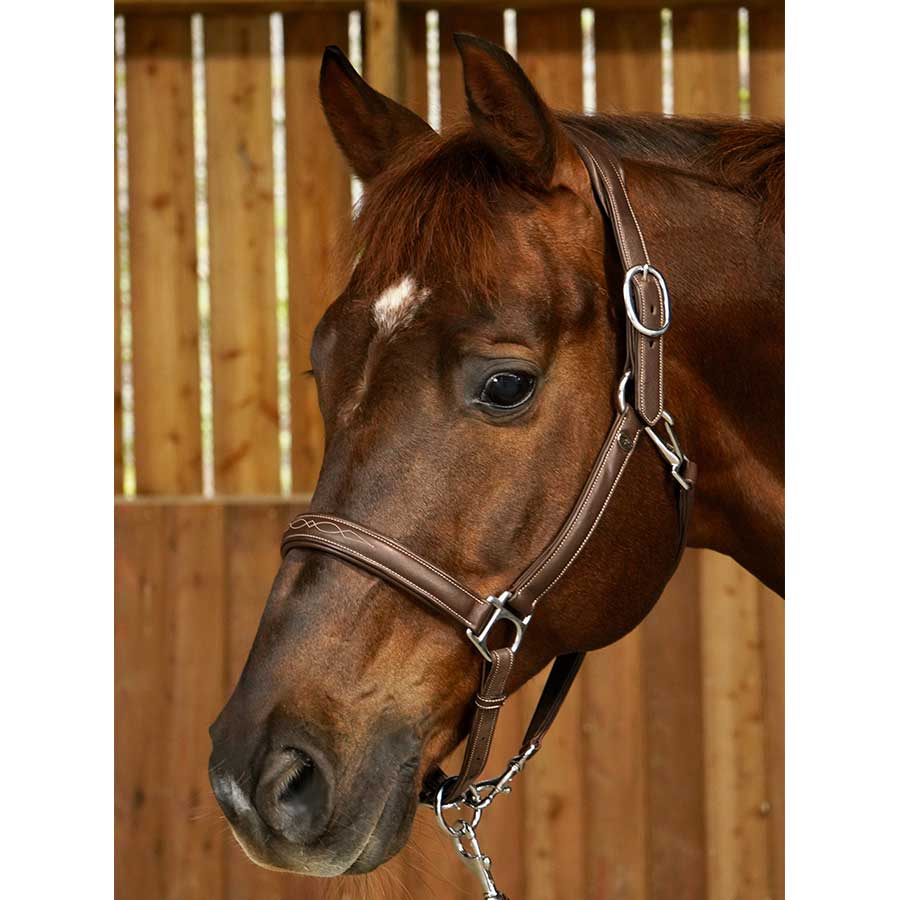 Kantar skórzany 2 w 1 WC Brązowy