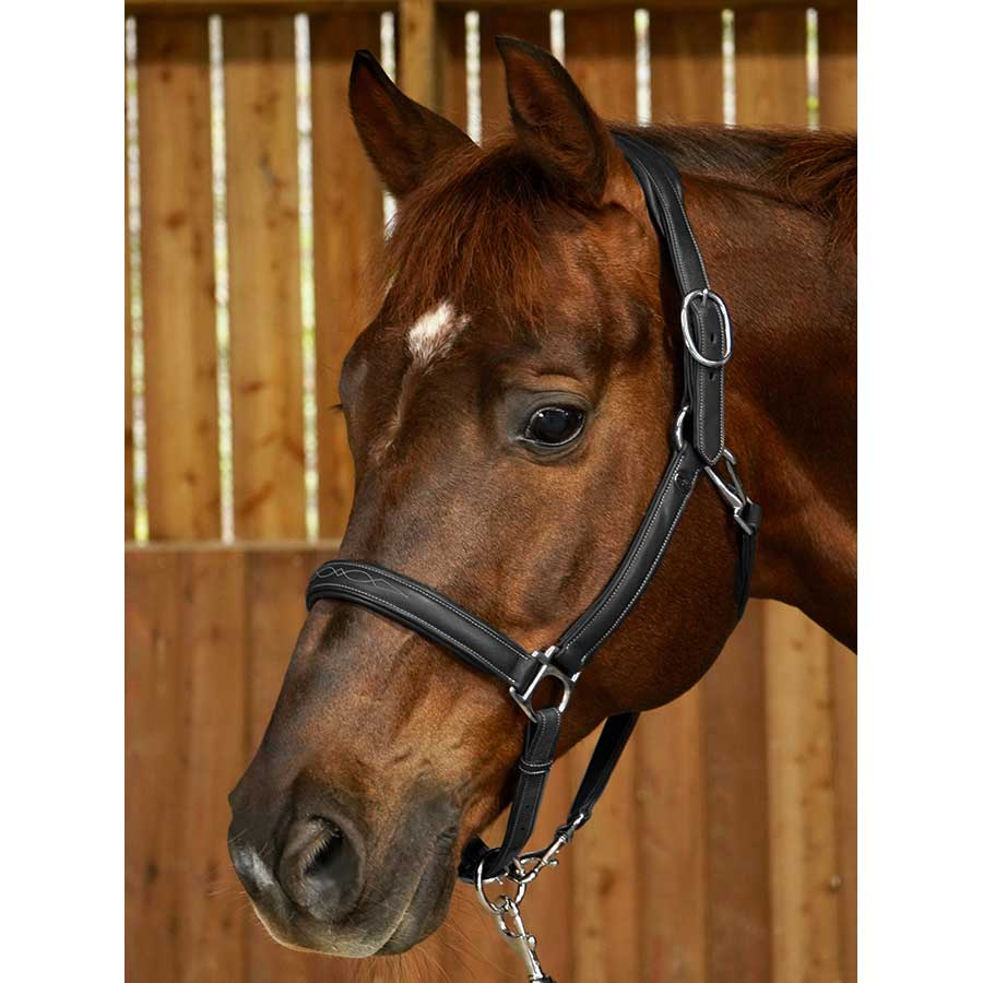 Kantar skórzany 2 w 1 WC Czarny