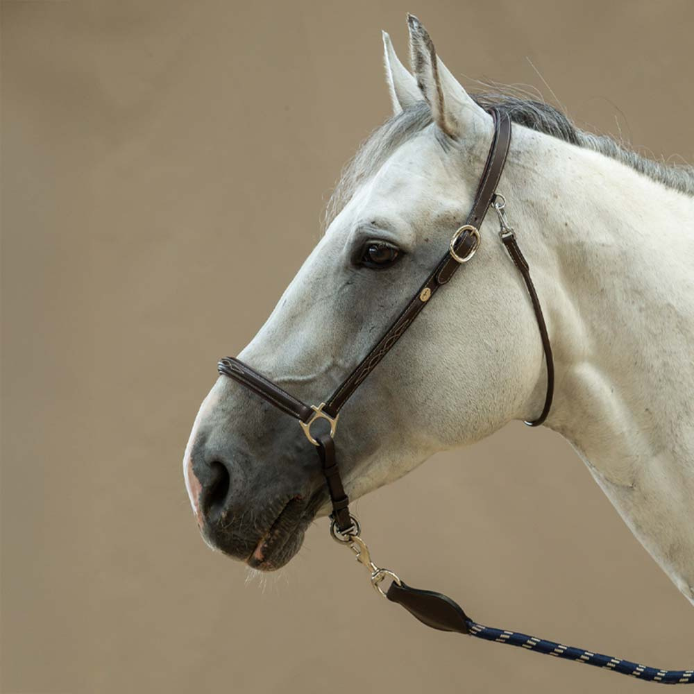 Kantar Grooming Leather WBD Brązowy