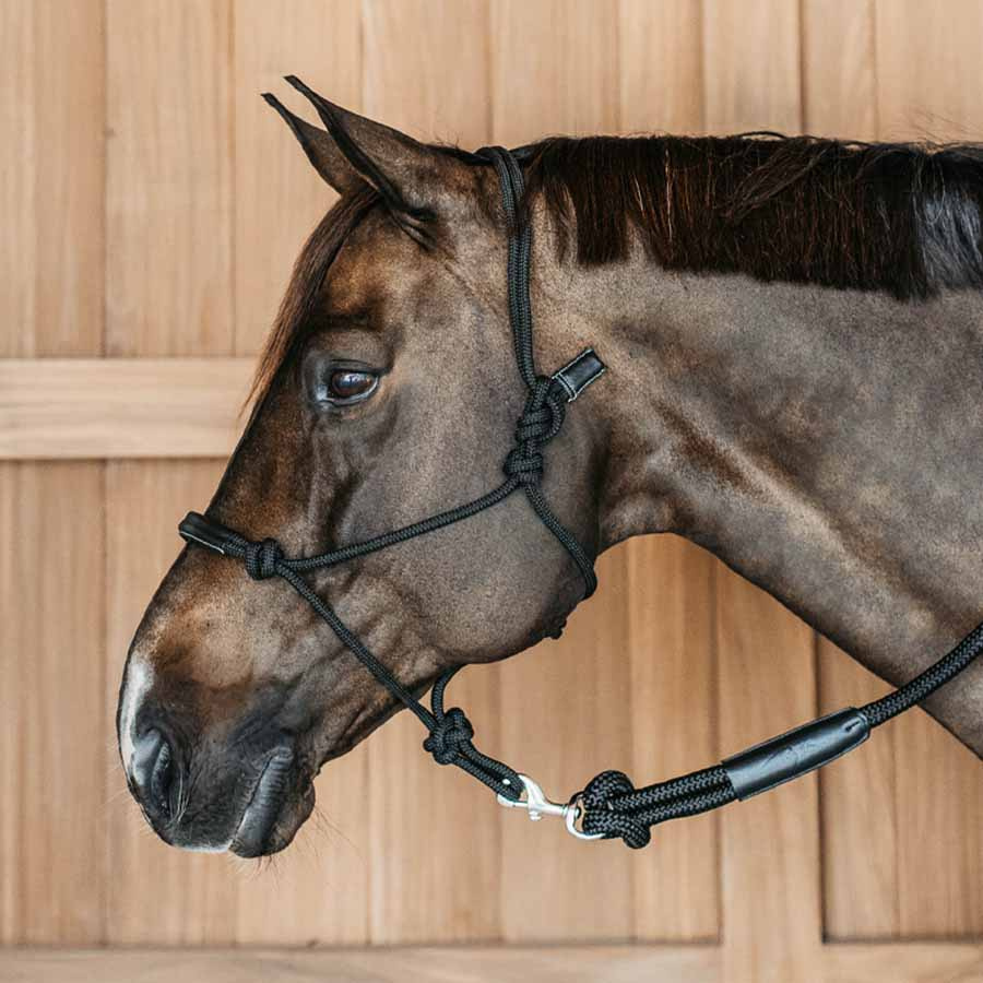 Kantar sznurkowy Training WBD Czarny