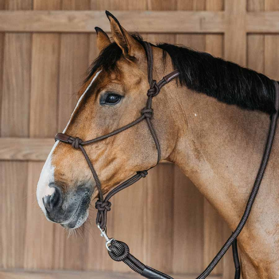 Kantar sznurkowy Training WBD Brązowy