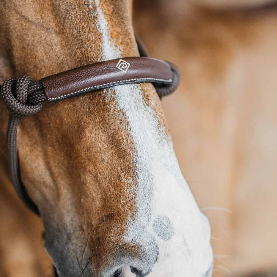 Kantar sznurkowy Training WBD Brązowy