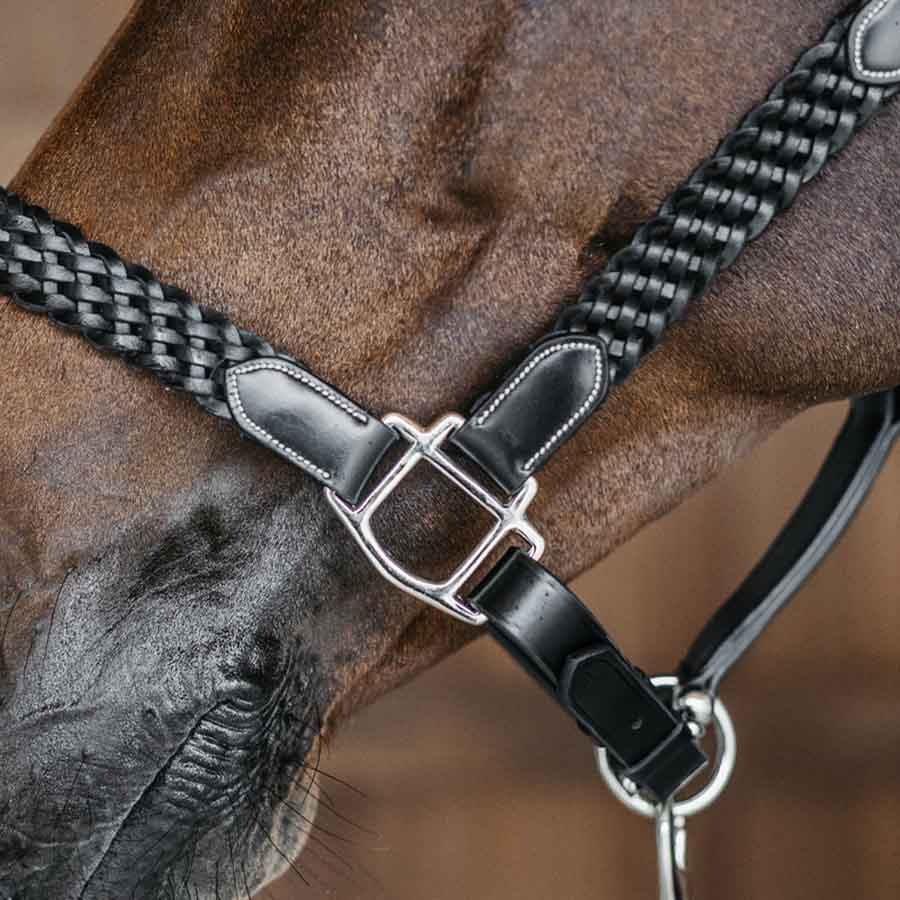 Kantar skórzany Plaited WBD Czarny