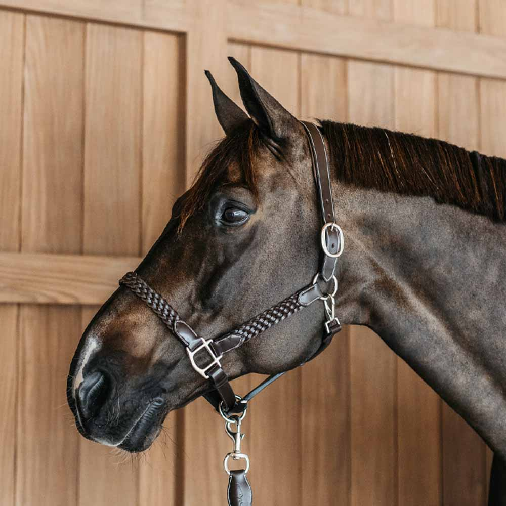 Kantar skórzany Plaited WBD Brązowy