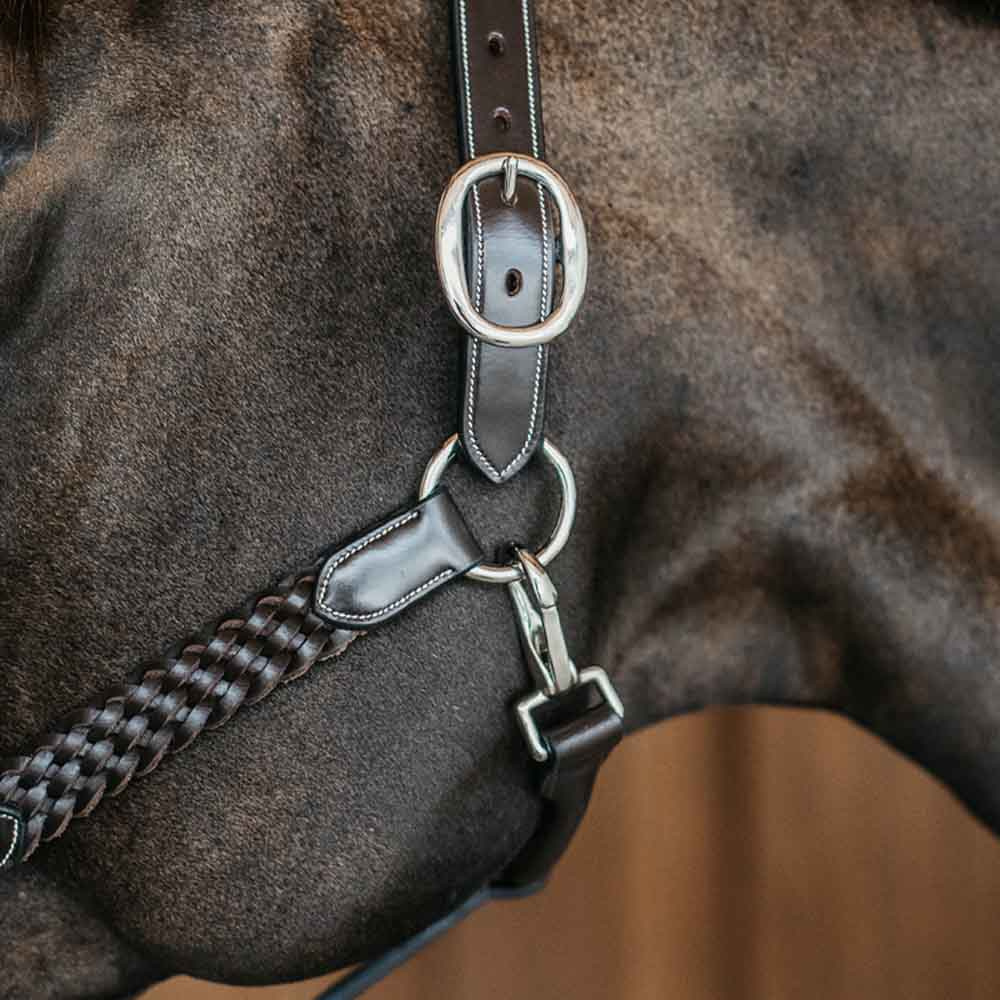 Kantar skórzany Plaited WBD Brązowy