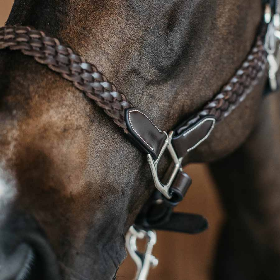 Kantar skórzany Plaited WBD Brązowy