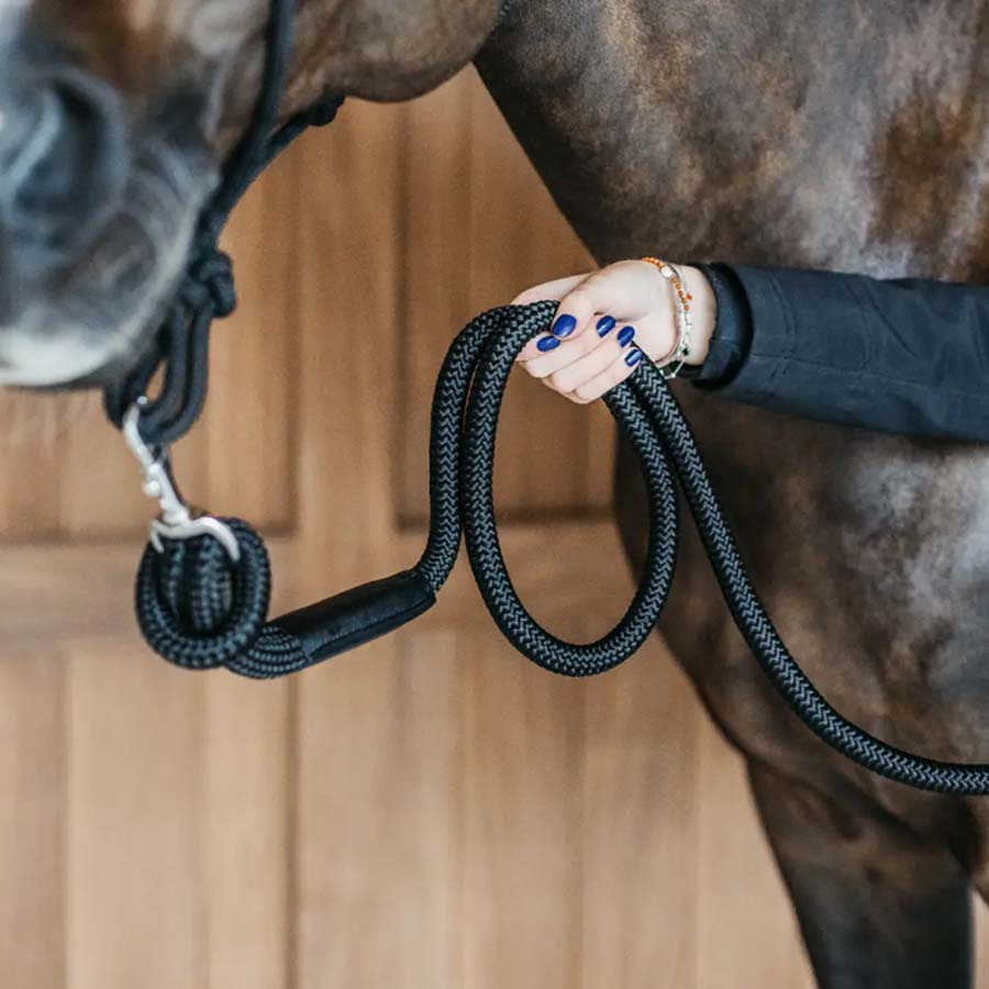 Uwiąz Removable Snap WBD Czarny