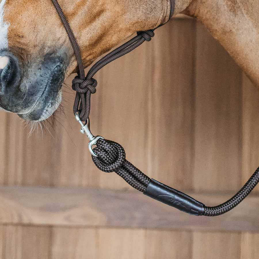 Uwiąz Removable Snap WBD Brązowy