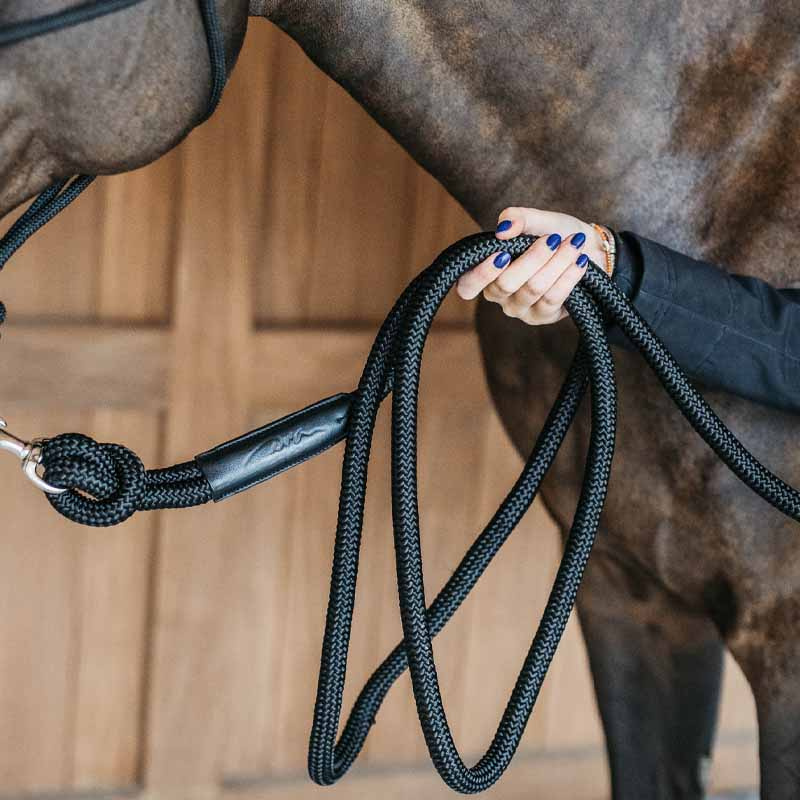 Uwiąz Training Removable Snap WBD Czarny