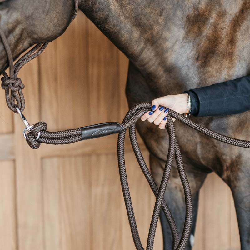 Uwiąz Training Removable Snap WBD Brązowy