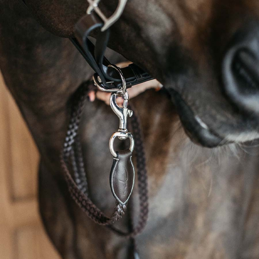 Uwiąz skórzany Plaited WBD Brązowy