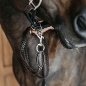 Uwiąz skórzany Plaited WBD Brązowy Uwiąz skórzany Plaited WBD Brązowy