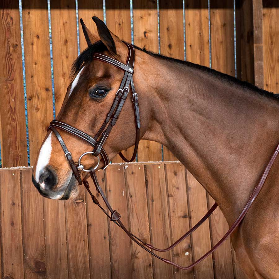 Ogłowie Classic kombinacyjne WC Brązowe