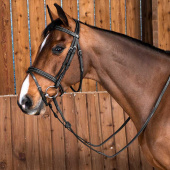 Ogłowie Classic kombinacyjne WC Czarne Ogłowie Classic kombinacyjne WC Czarne